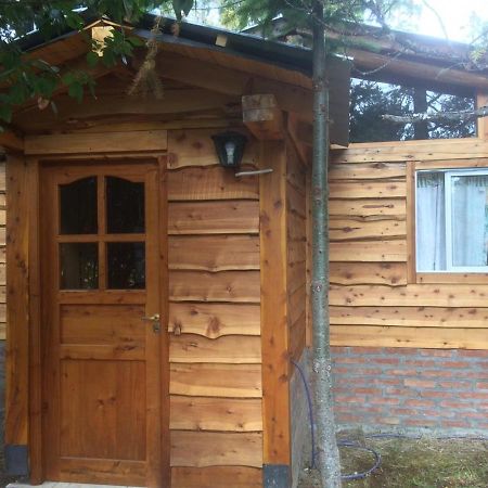 Cabanas Auquin Lemu Лаго Пуело Екстериор снимка
