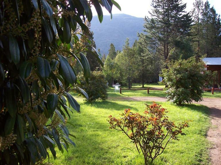 Cabanas Auquin Lemu Лаго Пуело Екстериор снимка