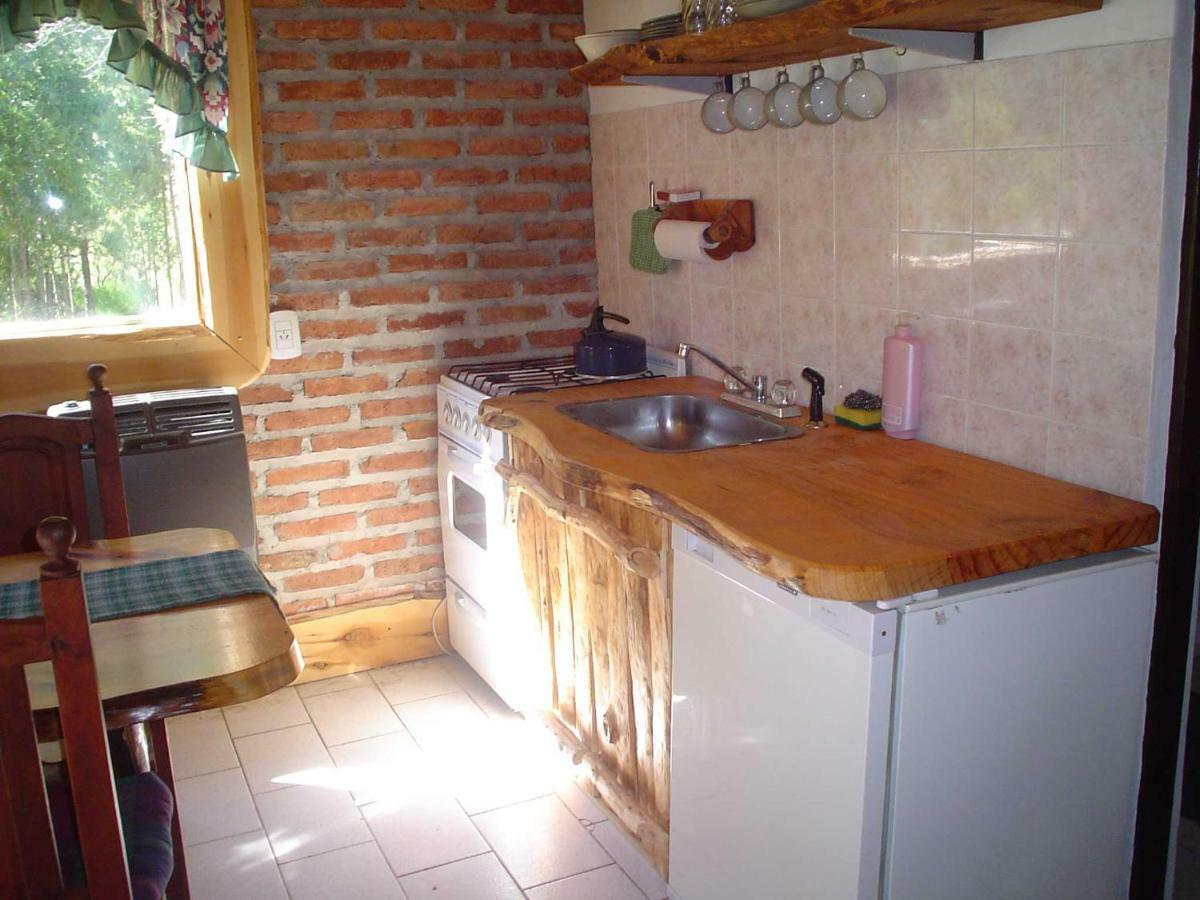 Cabanas Auquin Lemu Лаго Пуело Екстериор снимка