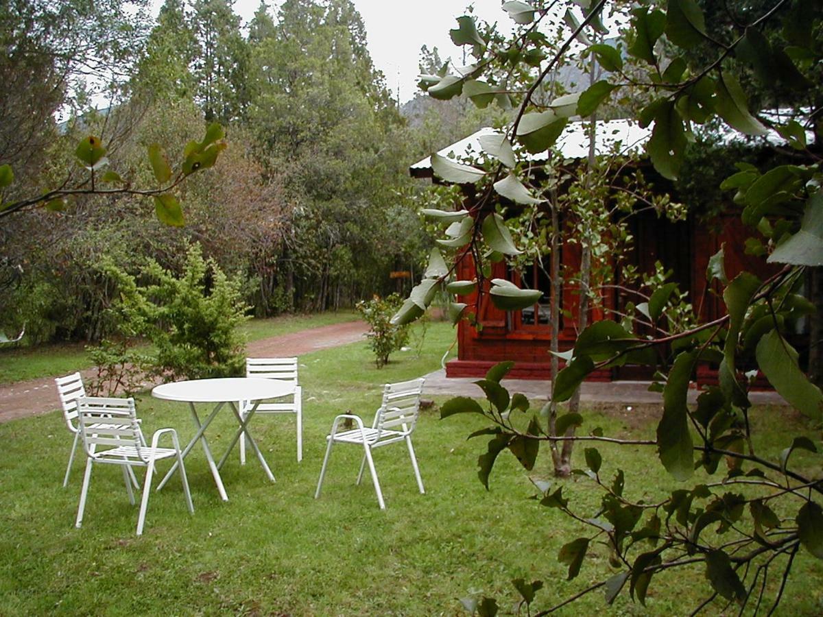 Cabanas Auquin Lemu Лаго Пуело Екстериор снимка
