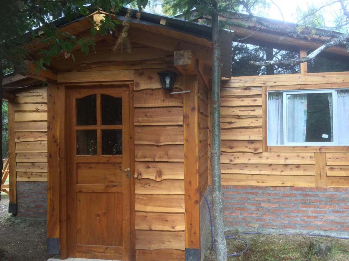 Cabanas Auquin Lemu Лаго Пуело Екстериор снимка