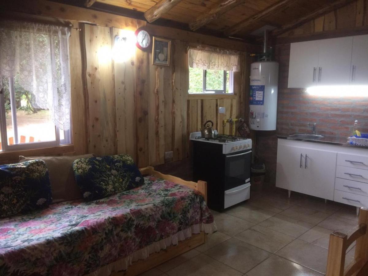 Cabanas Auquin Lemu Лаго Пуело Екстериор снимка